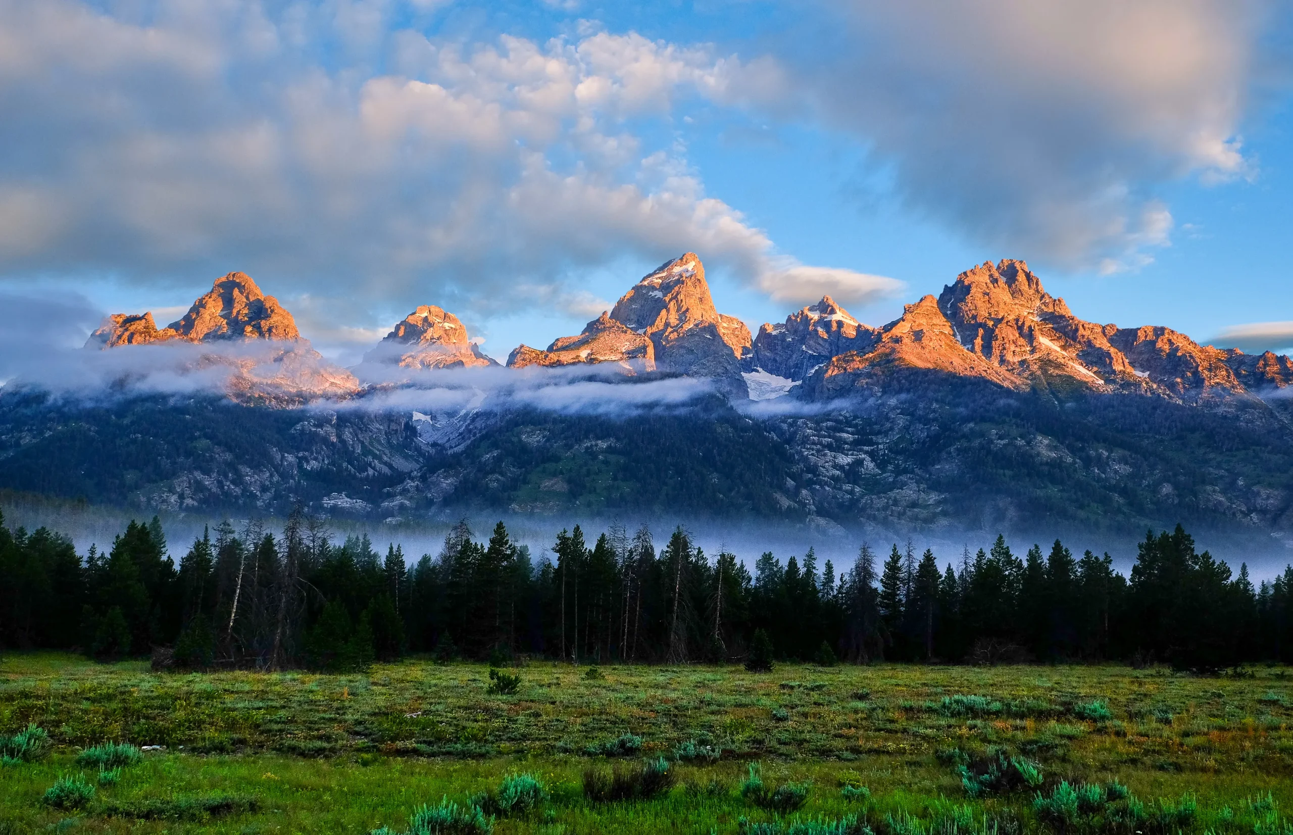 Shutterstock 1917615638