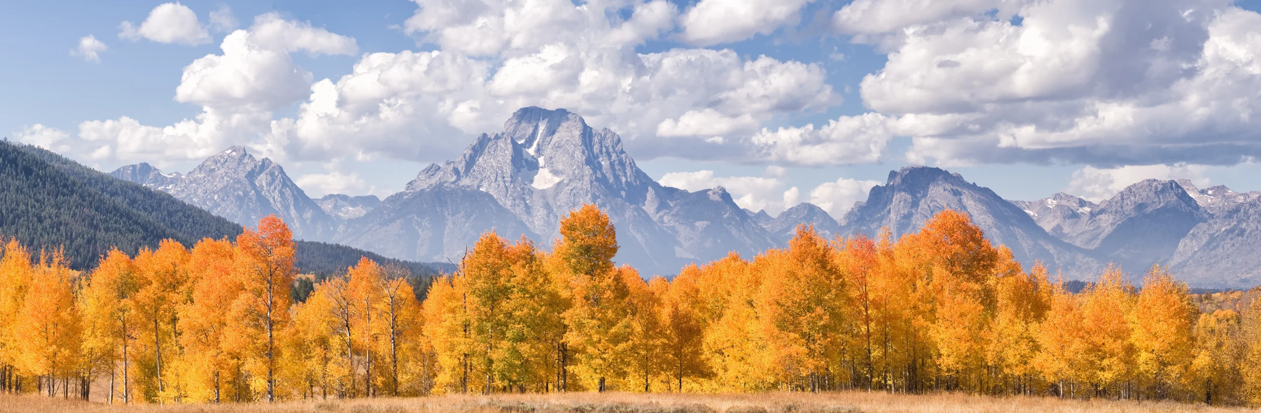 Tetonnationalparkfall